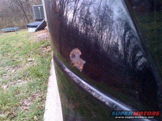 Black car door with rust spot, side view, grass and trees reflected