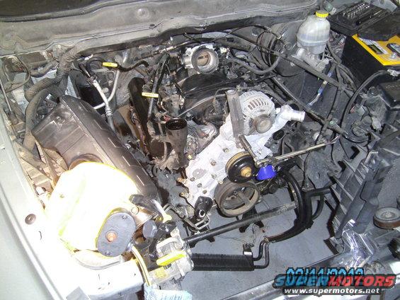 Engine bay with various components, hoses, and wiring visible