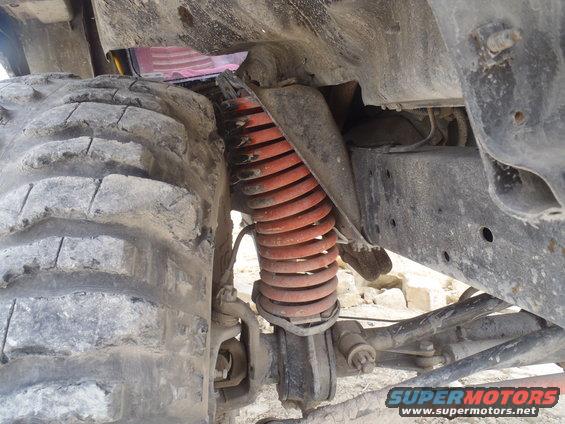 Close-up of a large tire and red coilover shock absorber on a vehicle's suspension