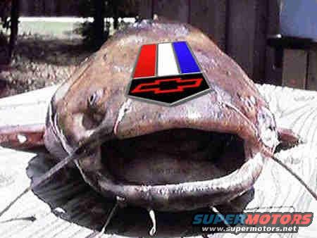 spyshot.jpg 05 Camaro Spy Shot