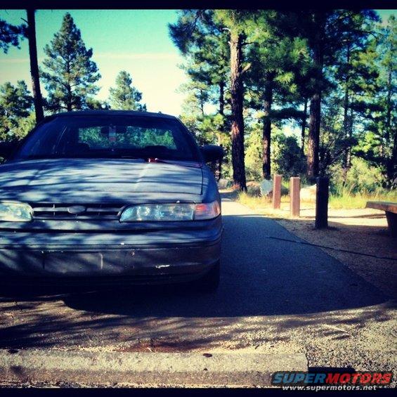 Front view of a dark blue Ford Crown Victoria parked on a paved area with trees and a bench in the background