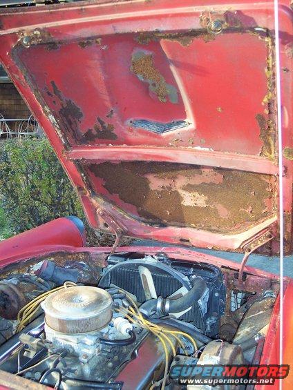 1956 Ford Thunderbird engine bay with open hood showing rust and engine components