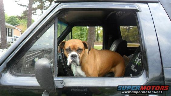 copilot-2.jpg 
