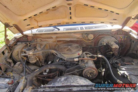 Engine bay with V8 engine, air cleaner, and hoses visible. Hood is open