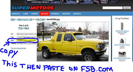 supermotors.jpg 