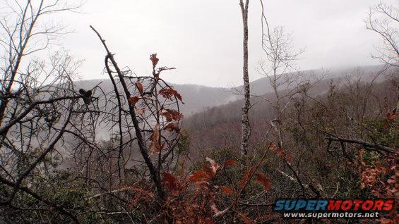 Overcast sky over misty mountains and bare trees in foreground