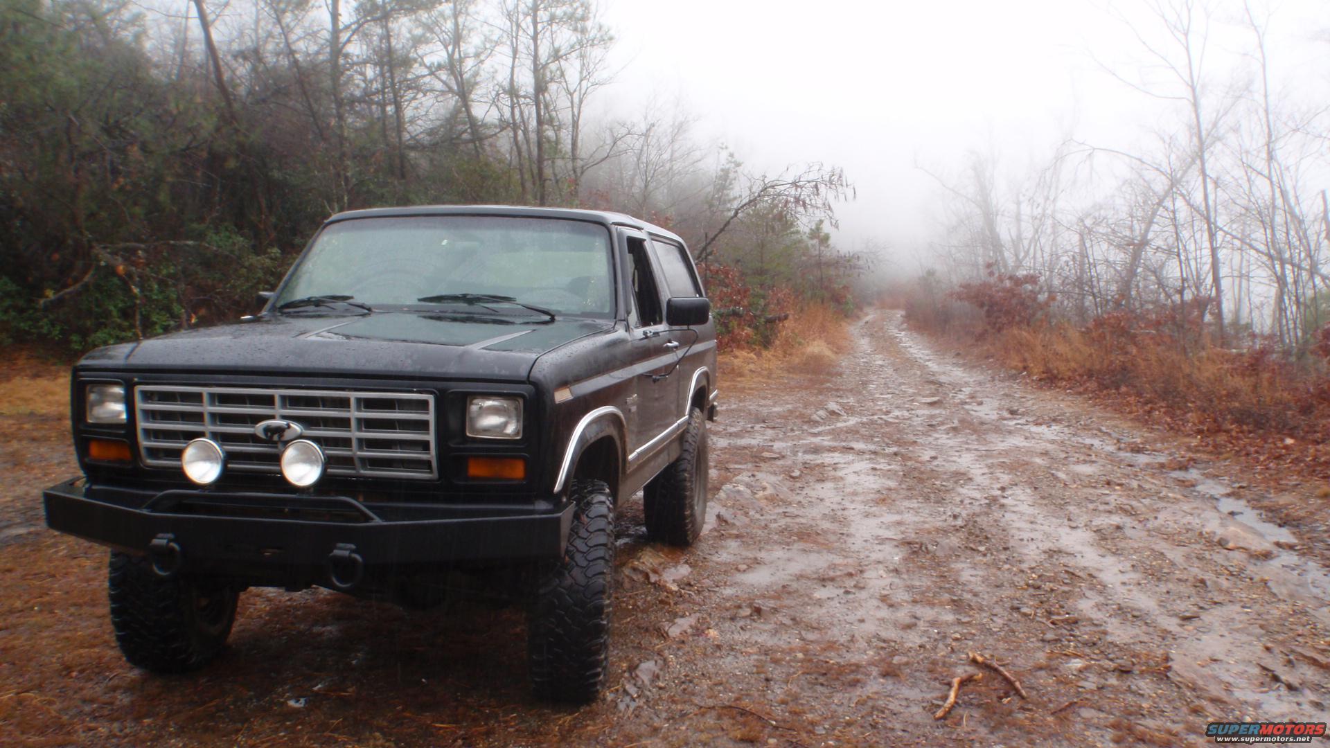 1986 Ford Bronco photo