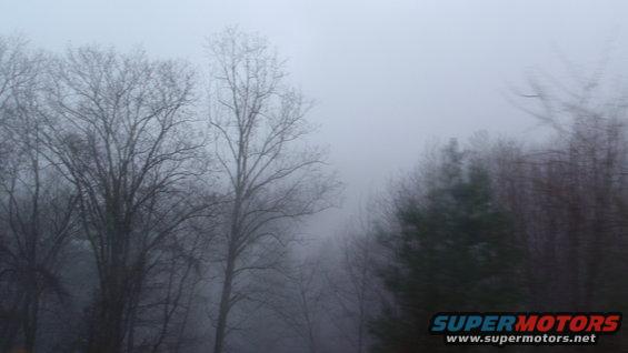 Bare trees and evergreen trees in heavy fog with SUPERMOTORS.NET logo in the corner