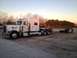 2003 Peterbilt 379 - A white Peterbilt semi-truck is loaded with a large quantity of trees on its flatbed trailer.
