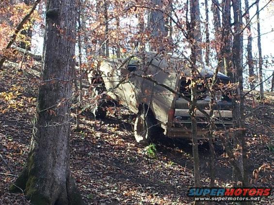 Truck is stuck and damaged in a wooded area with fallen leaves
