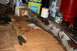 1976 Ford Ranchero - This is a rusted chrome bumper part lying on cardboard in a garage.