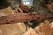 1976 Ford Ranchero - A heavily rusted metal component, possibly a frame or bumper, lies on cardboard with other metal pieces.