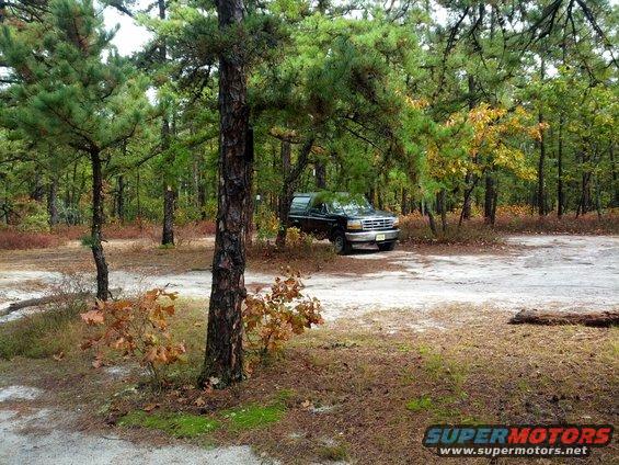 1995 Ford Bronco parked in a forest clearing