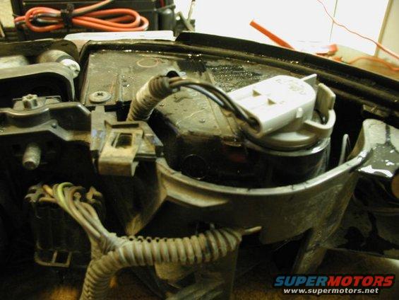 Headlight assembly wiring harness and connector with black and gray wires