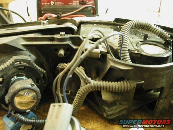Headlight assembly with wiring and corrugated tubing, viewed from front-right