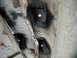 1990 Ford F-250 - Underbody frame mounts appear to have been recently painted black.