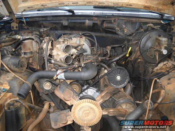 Engine bay with V8 engine components, hoses, belts, and fan visible