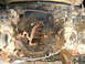 DSCN1683.JPG