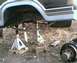 1984 Ford Bronco - The rear axle assembly of a vehicle is supported by jack stands, with suspension components visible.