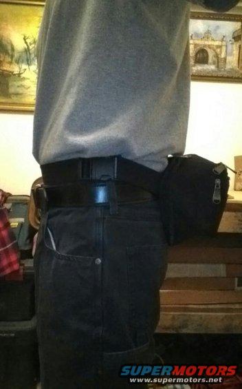 bulldog-back.jpg 