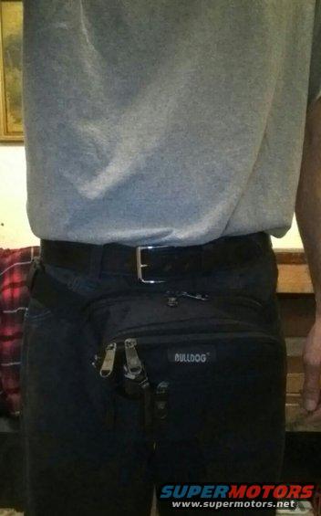 bulldog-front.jpg 