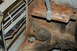 1963 Ford Ranchero - A little Rust & Rat Poop