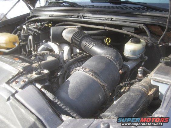 Engine bay with large air intake tube and various hoses and fluid reservoirs visible