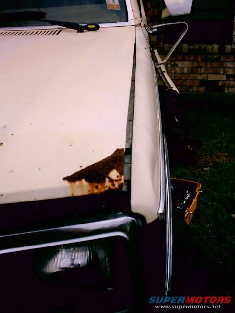 1980 Ford Bronco front fender with rust damage and chrome trim