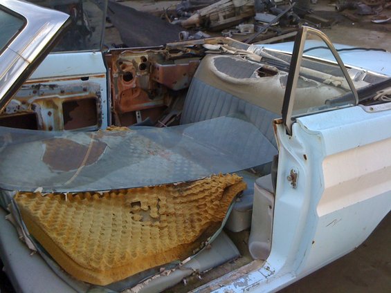1964 Ford Ranchero interior showing torn door panel, ripped seats, and rusted dashboard. Convertible top is down