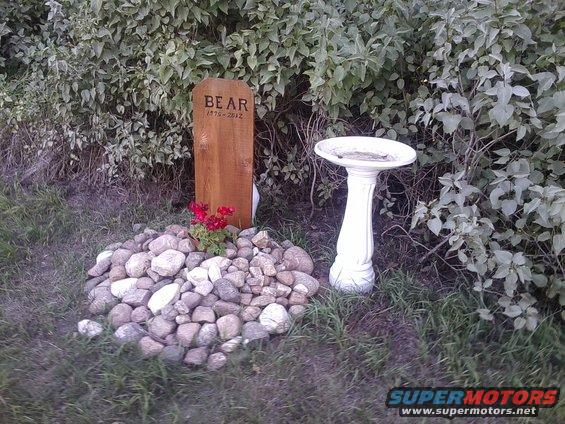 Wooden grave marker reading 'BEAR 1975-2012' with flowers, surrounded by rocks, next to a white bird bath