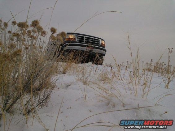 1992 Ford F-Series truck in snow, front view through dry grass