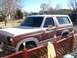 1981 Ford Bronco - This two-tone Ford Bronco is parked in a residential area on a sunny day.