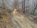 20130126_113939.jpg