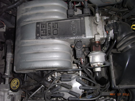 motor-003.jpg 