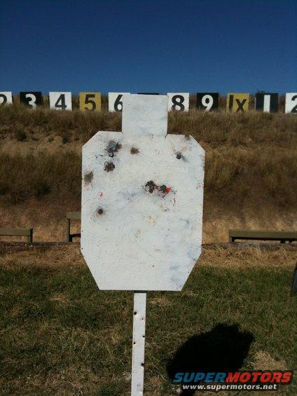 Silhouette target with bullet holes in a grassy field under a clear blue sky, with numbered markers in the background