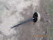 1986 Ford Bronco - This is a detached axle with a brake drum, not a 1986 Ford Bronco.