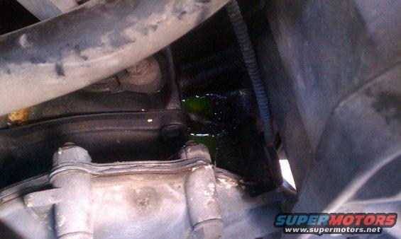 engine bay showing green coolant leaking from a component