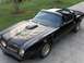 1977 Pontiac Firebird photo