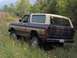 1979 Ford Bronco