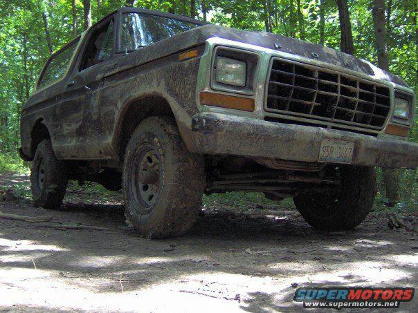 1979 Ford Bronco photo