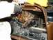 1978 Ford Ranchero photo