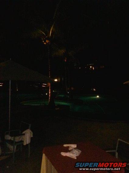 Night scene with pool and palm trees