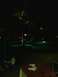 1960 Ford Falcon - Nighttime view of a resort pool area with illuminated water and tropical foliage.