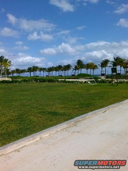 Tropical resort scene with palm trees and a grassy field under a cloudy blue sky