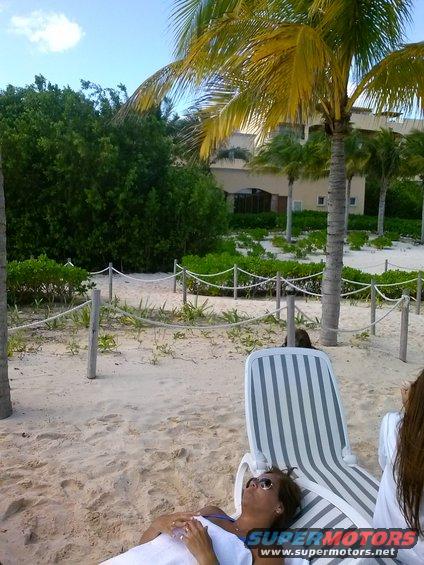 Beach scene with palm trees, lounge chairs, and a building in the background