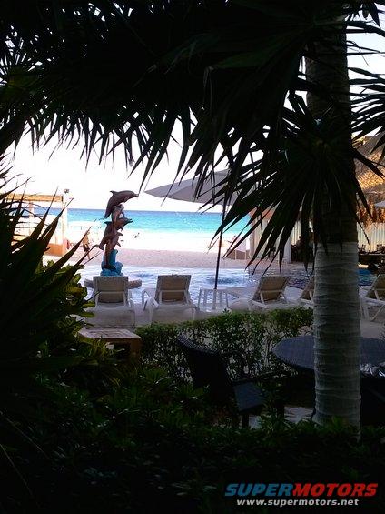 Beach resort with palm trees, lounge chairs, a pool, and the ocean in the background. Dolphin statue in foreground