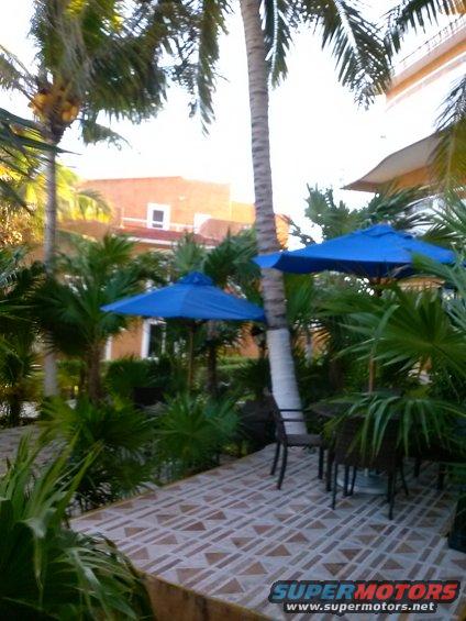 Outdoor patio with palm trees, blue umbrellas, and a building in the background. Tiled floor