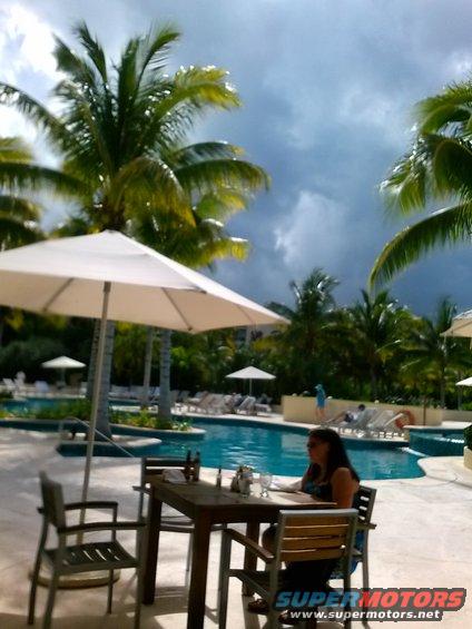 Resort pool with palm trees, lounge chairs, and people sitting at a table