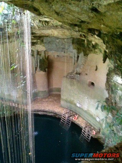 Cenote with hanging vines and ladders leading to water