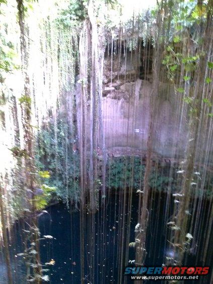 Cenote with dark water and many hanging vines covering the rock walls